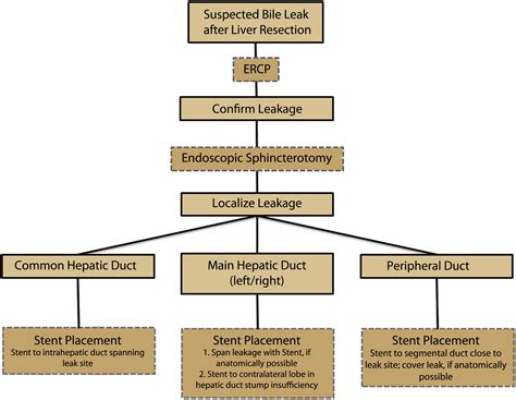 b4il3e leaks|A Review of the Management of Bile Leaks